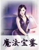 魔法宝鉴